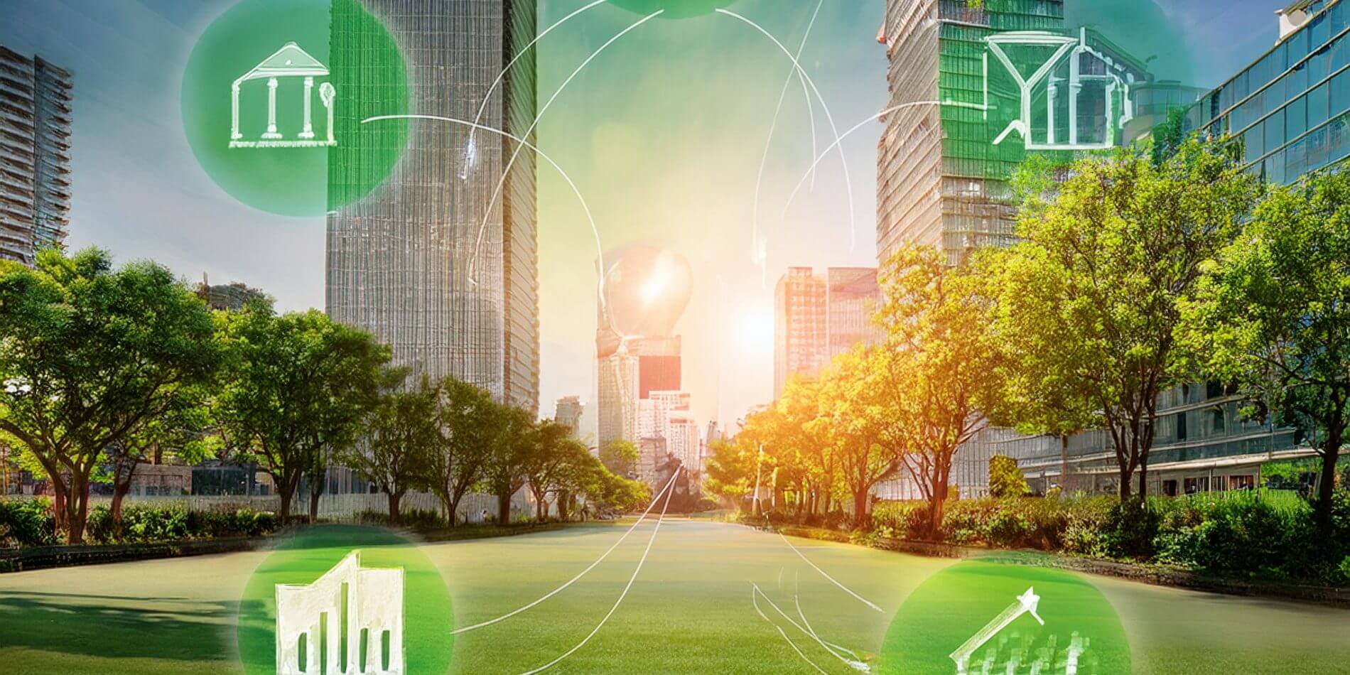 reduction energie arbres urbains
