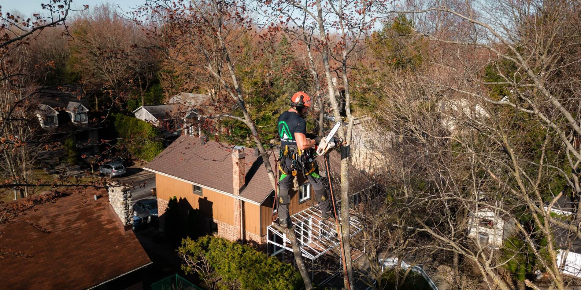 arboriculteur certifié